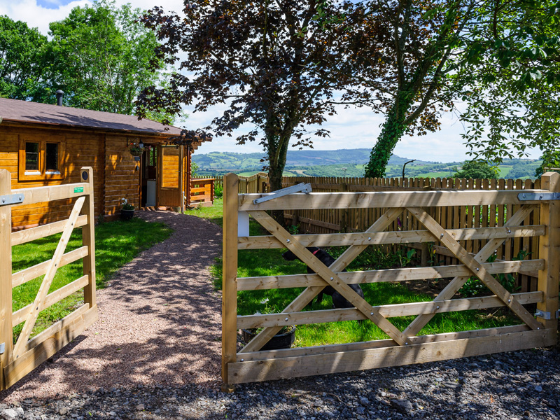 Woodhay Lodge Self Catering Lodge In The Black Mountains Dog